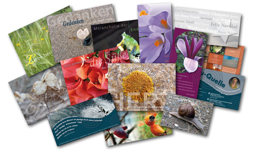 Grafiklick_Portfolio